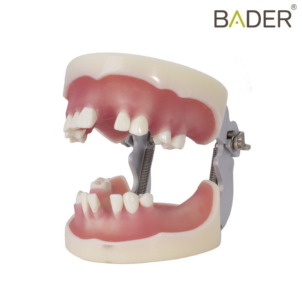 4049-TIPODONT-PARA-IMPLANTOLOGY-WITH-ARTICULATOR-BADER.jpg
