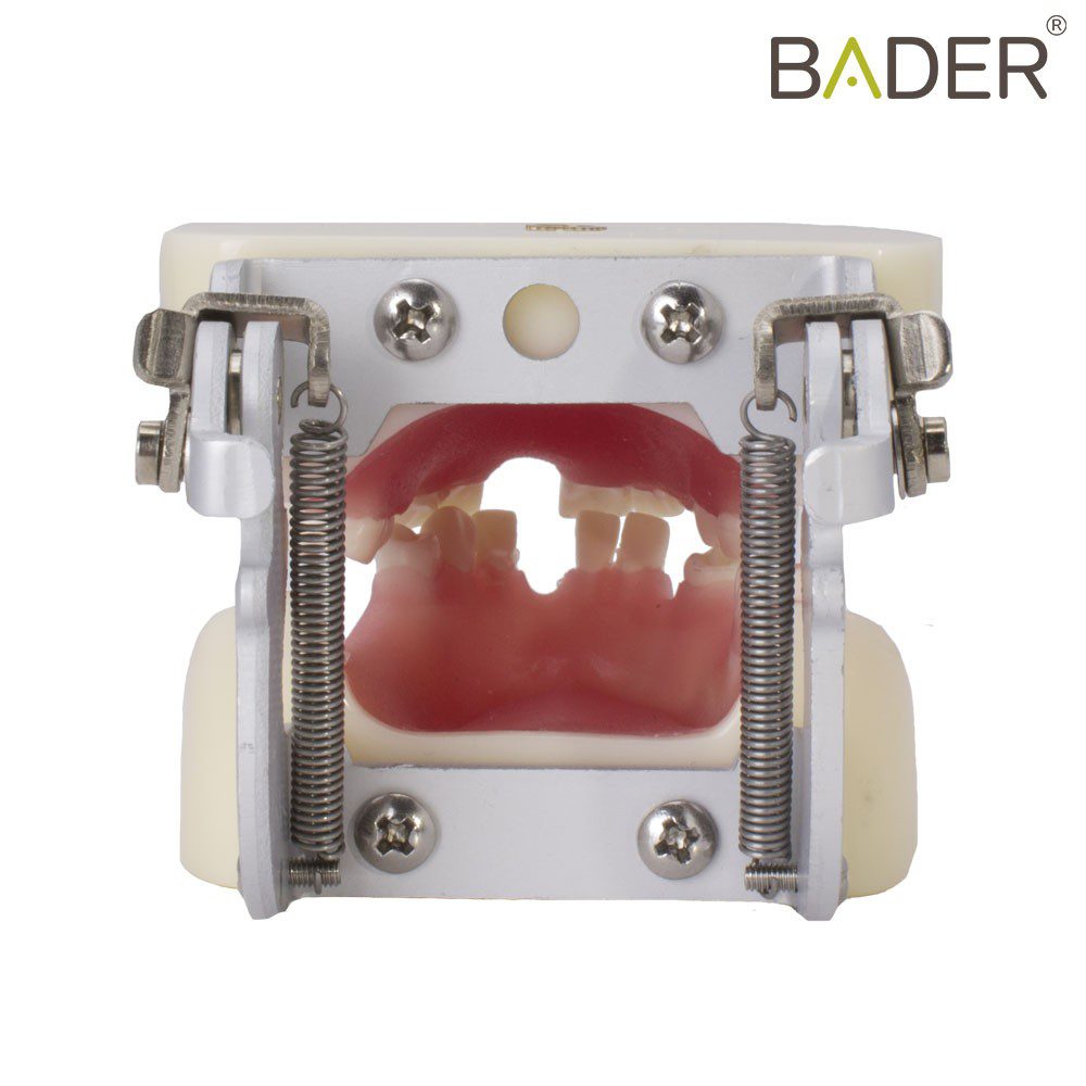 4050-Tipodont-for-implantology-with-articulator.jpg