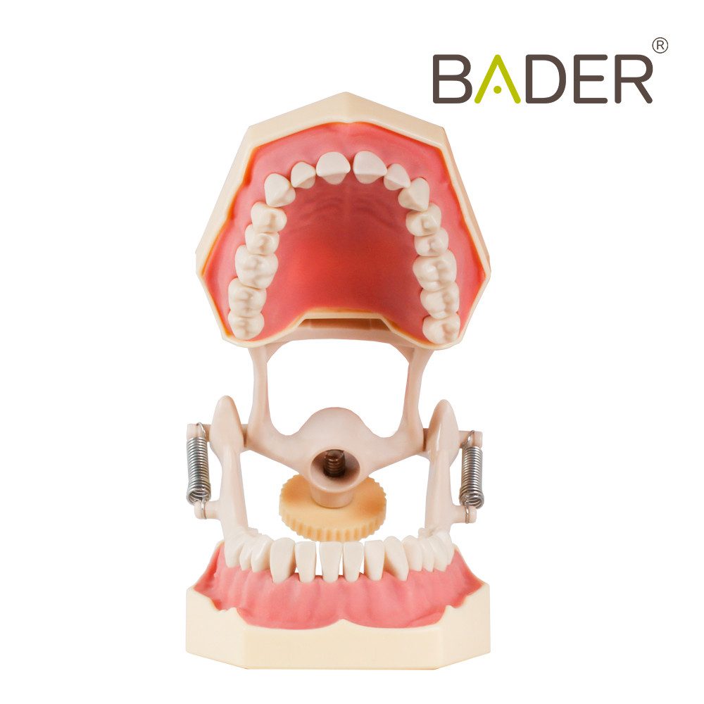 8363-TIPODONT-TYPE-FRASACO-AG3-ADULT-WITH-ARTICULATOR.jpg